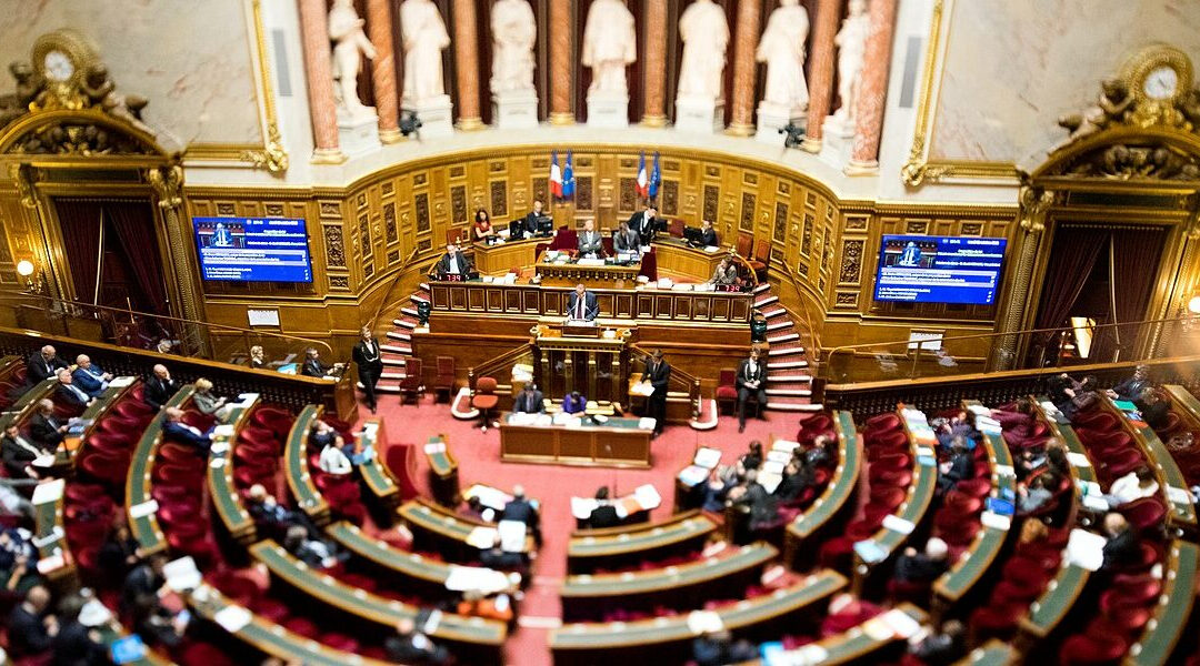 Mission d’information sur l’intelligence économique au Sénat