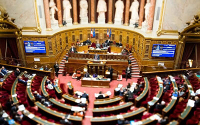 Mission d’information sur l’intelligence économique au Sénat